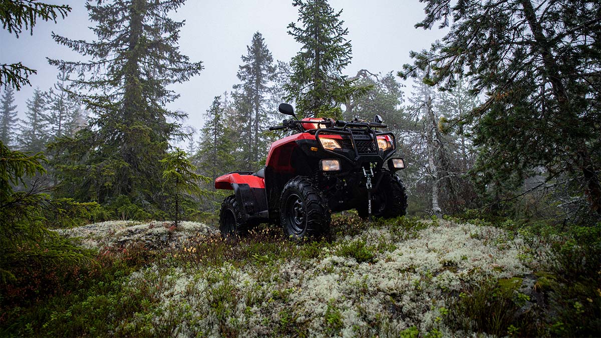 Honda ATV i skogen