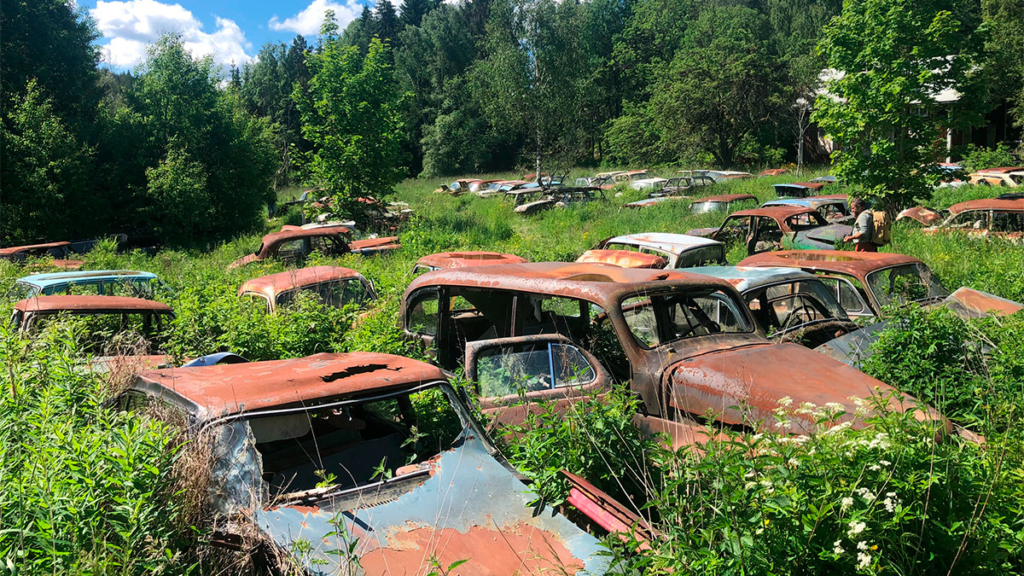 Bilkirkegård med rustne biler blant gress